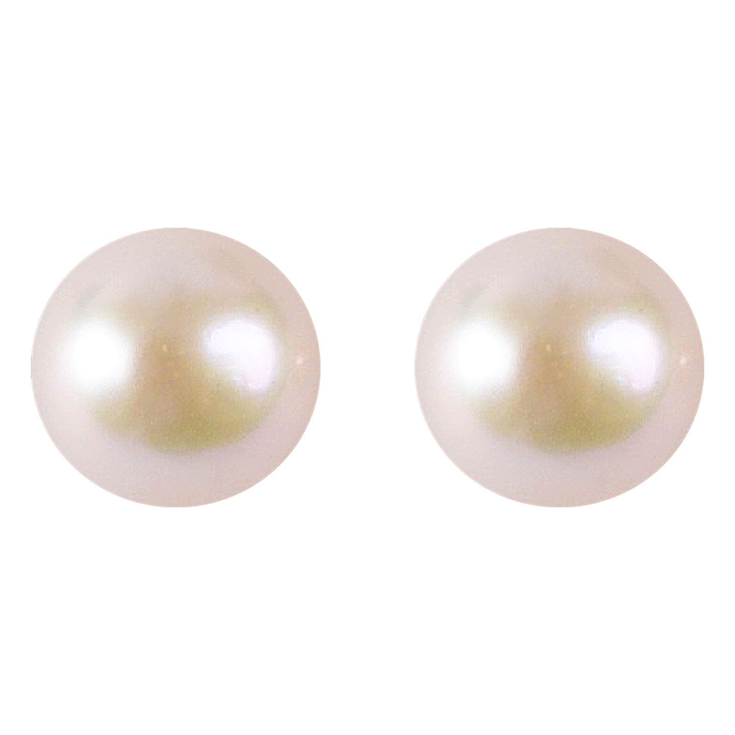 White Pearl Studs - CherishBox