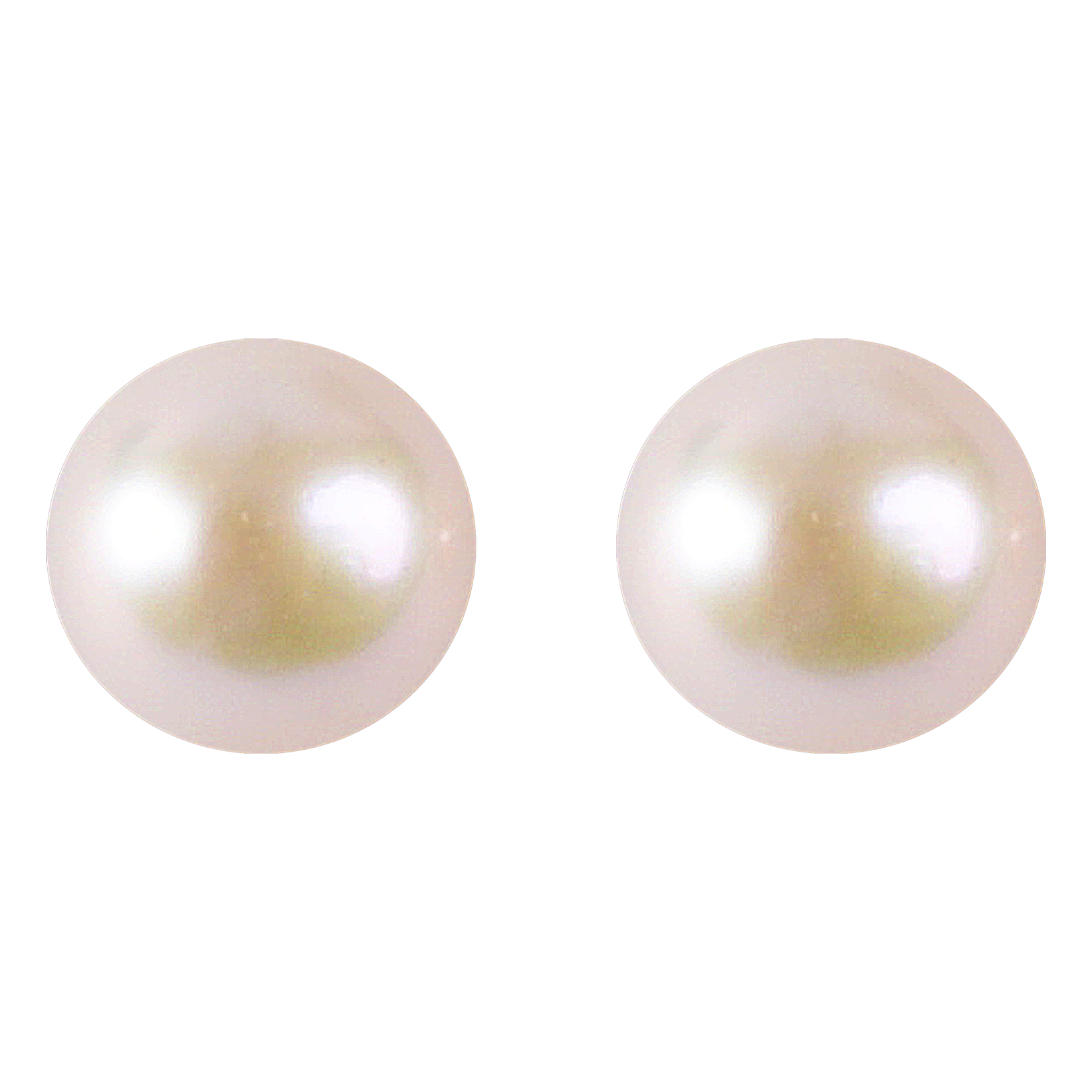 White Pearl Studs - CherishBox